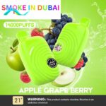 ISGO Paris 2% nicotine Disposable 14000 Puffs Rechargeable Vape in Dubai, UAE