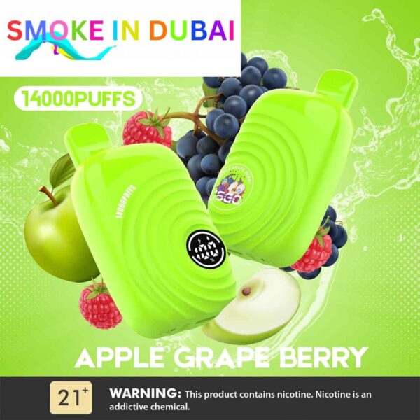 ISGO Paris 2% nicotine Disposable 14000 Puffs Rechargeable Vape in Dubai, UAE