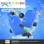 ISGO Paris 2% nicotine Disposable 14000 Puffs Rechargeable Vape in Dubai, UAE
