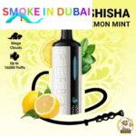 ELF BAR E-Shisha 16000 puffs Mega Cloud DTL 0.5% Nicotine