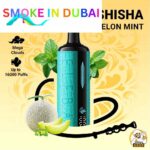 ELF BAR E-Shisha 16000 puffs Mega Cloud DTL 0.5% Nicotine