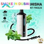 ELF BAR E-Shisha 16000 puffs Mega Cloud DTL 0.5% Nicotine