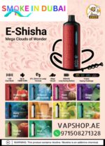 ELF BAR E-Shisha 16000 puffs Mega Cloud DTL 0.5% Nicotine