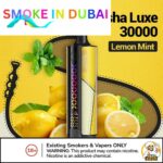 ELF BAR Shisha Luxe 30000 Puffs 30mg Nicotine Vape