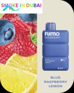 FUMMO Magnum 8000 Puffs 2% Nicotine Disposable Vape in Dubai
