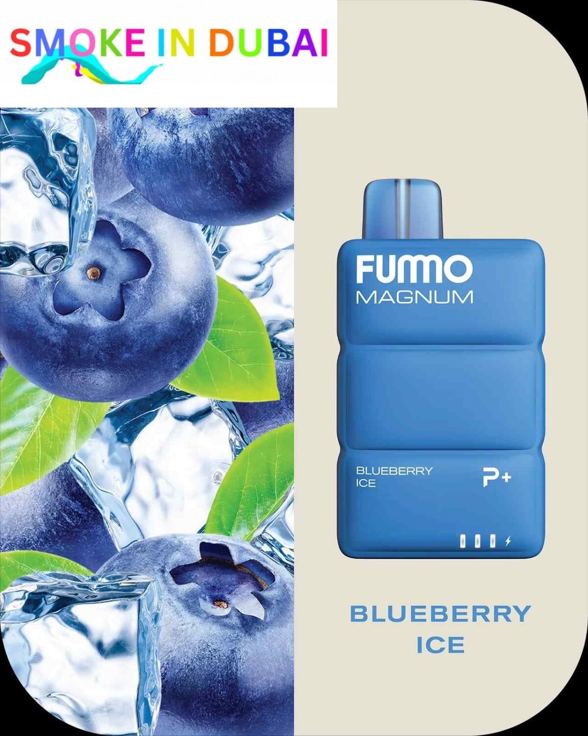 FUMMO Magnum 8000 Puffs 2% Nicotine Disposable Vape in Dubai