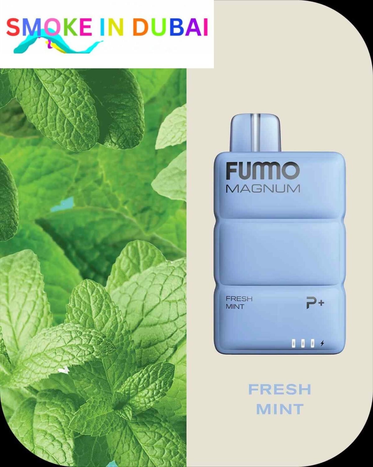 FUMMO Magnum 8000 Puffs 2% Nicotine Disposable Vape in Dubai