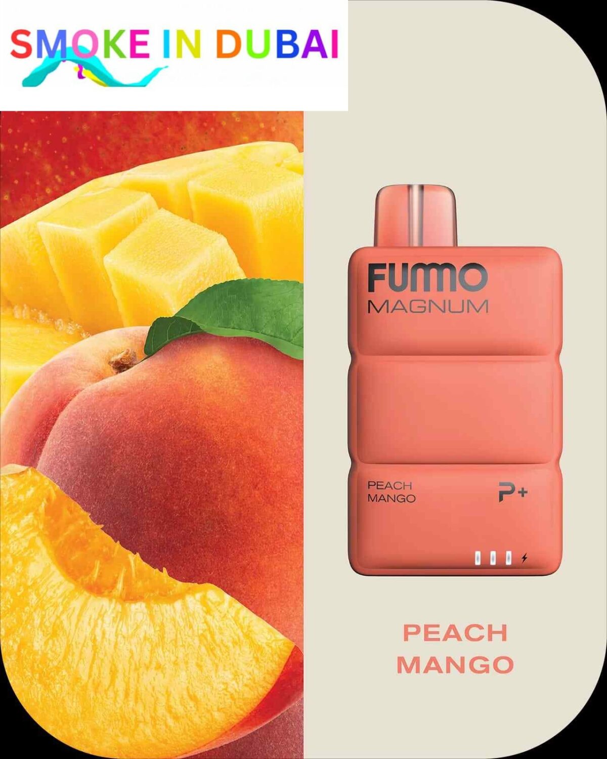 FUMMO Magnum 8000 Puffs 2% Nicotine Disposable Vape in Dubai