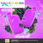 ISGO Paris 2% nicotine Disposable 14000 Puffs Rechargeable Vape in Dubai, UAE