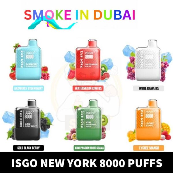 Isgo New York 8000 Puffs Rechargeable Disposable Vape shop In UAE