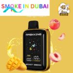 MASKKING Spirit 25000 Puffs 50MG Nicotine