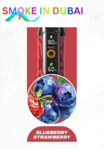 NERD Cloud 20000 Puffs 6MG Nicotine Disposable Vape in Dubai