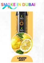 NERD Cloud 20000 Puffs 6MG Nicotine Disposable Vape in Dubai