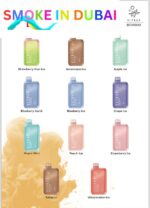 Elf Bar 10000 Puffs 5%-50mg Nicotion Disposable vape in Dubai